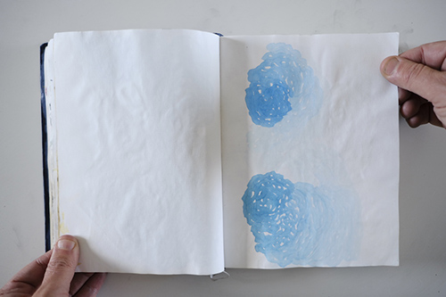 carnets | carnet-2013 | &copy; patrice de Santa Coloma