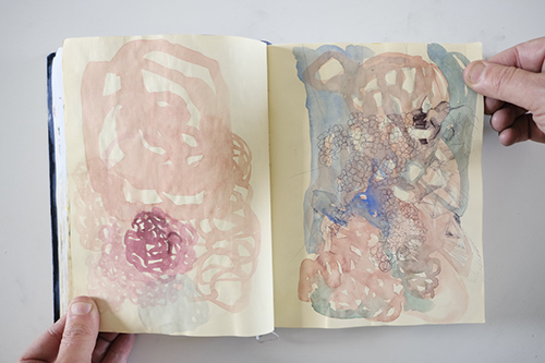 carnets | carnet-2013 | &copy; patrice de Santa Coloma