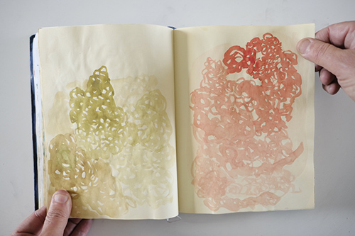 carnets | carnet-2013 | &copy; patrice de Santa Coloma