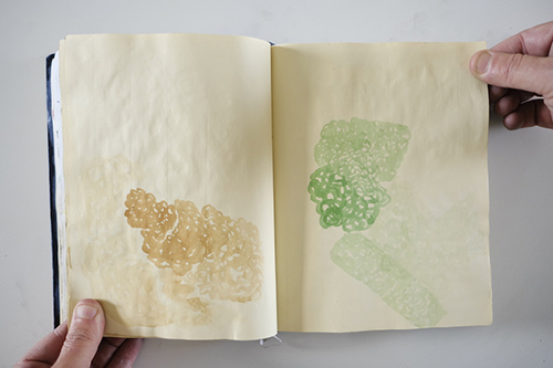 carnets | carnet-2013 | &copy; patrice de Santa Coloma