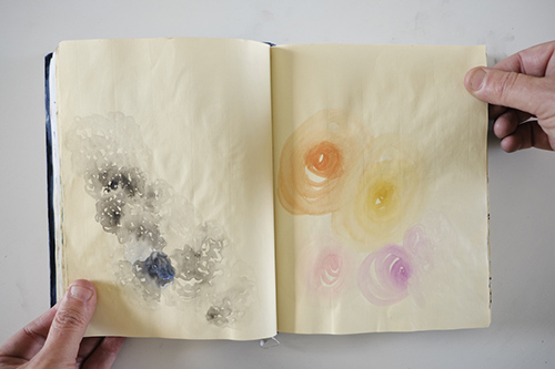 carnets | carnet-2013 | &copy; patrice de Santa Coloma