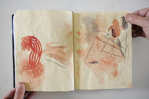 carnets | carnet-2013 | &copy; patrice de Santa Coloma