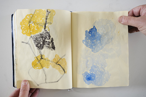 carnets | carnet-2013 | &copy; patrice de Santa Coloma