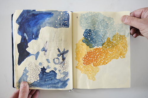 carnets | carnet-2013 | &copy; patrice de Santa Coloma
