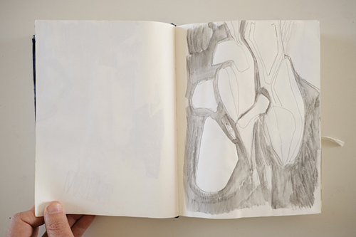 carnets | carnet-2015 | &copy; patrice de Santa Coloma