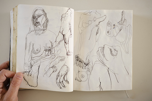 carnets | carnet-2015 | &copy; patrice de Santa Coloma