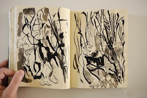 carnets | carnet-2015 | &copy; patrice de Santa Coloma