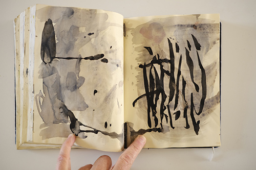 carnets | carnet-2015 | &copy; patrice de Santa Coloma