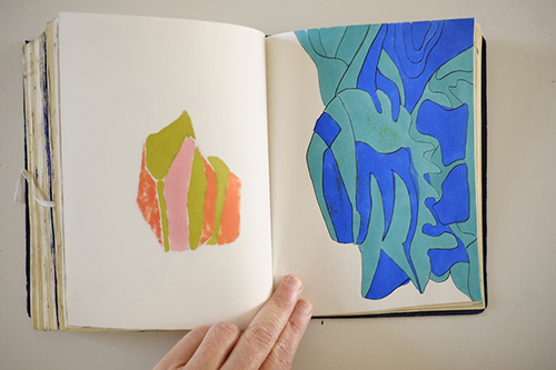 carnets | carnet-2015 | &copy; patrice de Santa Coloma