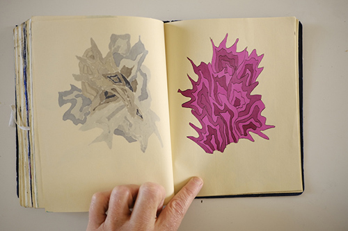 carnets | carnet-2015 | &copy; patrice de Santa Coloma