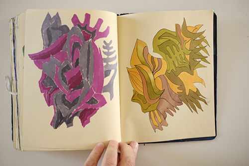 carnets | carnet-2015 | &copy; patrice de Santa Coloma