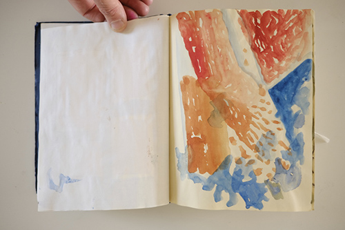 carnets | carnet-2015 | &copy; patrice de Santa Coloma
