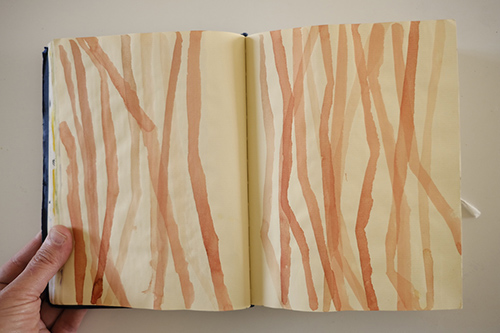 carnets | carnet-2015 | &copy; patrice de Santa Coloma