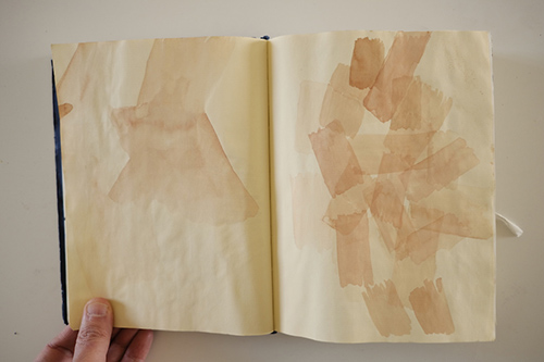 carnets | carnet-2015 | &copy; patrice de Santa Coloma
