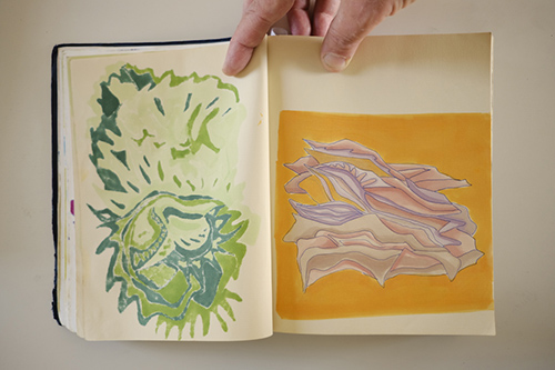 carnets | carnet-2016 | &copy; patrice de Santa Coloma