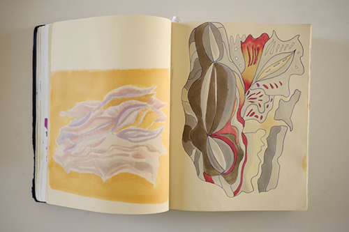 carnets | carnet-2016 | &copy; patrice de Santa Coloma