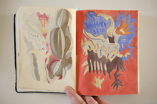 carnets | carnet-2016 | &copy; patrice de Santa Coloma