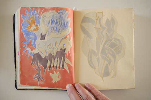 carnets | carnet-2016 | &copy; patrice de Santa Coloma