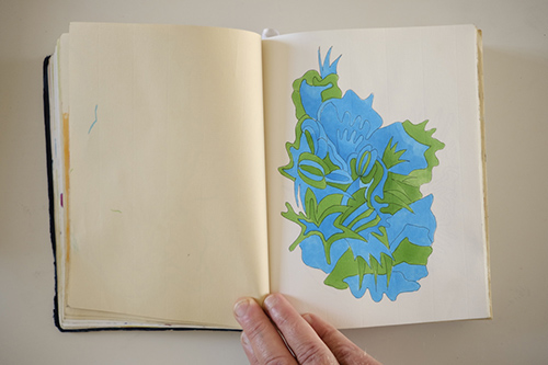 carnets | carnet-2016 | &copy; patrice de Santa Coloma