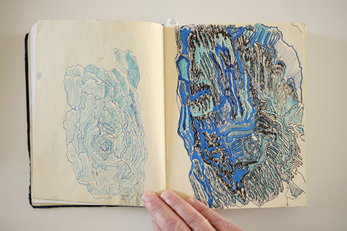 carnets | carnet-2016 | &copy; patrice de Santa Coloma