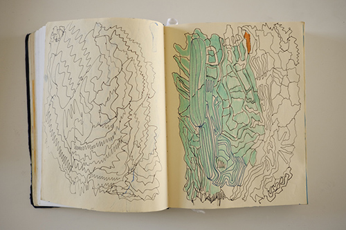 carnets | carnet-2016 | &copy; patrice de Santa Coloma