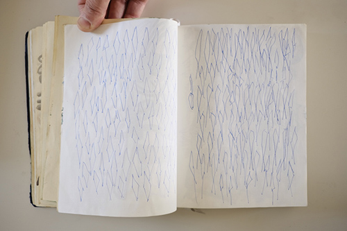 carnets | carnet-2016 | &copy; patrice de Santa Coloma