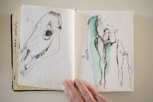 carnets | carnet-2016 | &copy; patrice de Santa Coloma