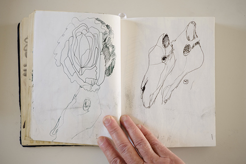 carnets | carnet-2016 | &copy; patrice de Santa Coloma