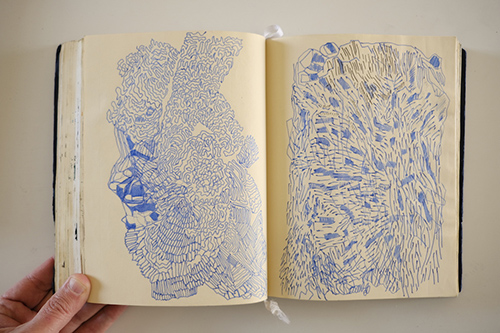 carnets | carnet-2016 | &copy; patrice de Santa Coloma