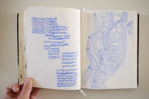 carnets | carnet-2016 | &copy; patrice de Santa Coloma