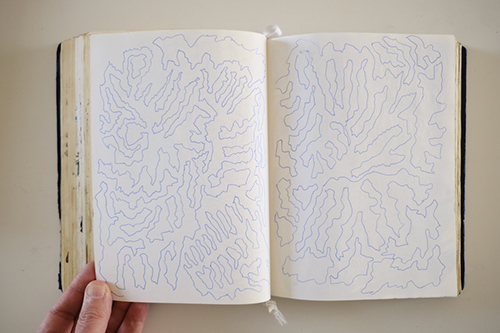 carnets | carnet-2016 | &copy; patrice de Santa Coloma