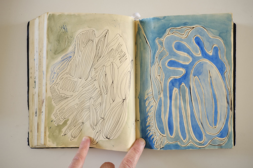 carnets | carnet-2016 | &copy; patrice de Santa Coloma