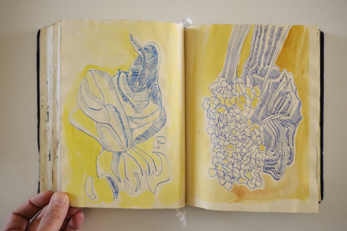 carnets | carnet-2016 | &copy; patrice de Santa Coloma