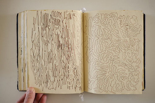 carnets | carnet-2016 | &copy; patrice de Santa Coloma