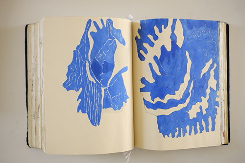 carnets | carnet-2016 | &copy; patrice de Santa Coloma