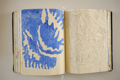 carnets | carnet-2016 | &copy; patrice de Santa Coloma
