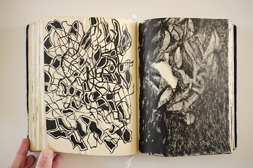 carnets | carnet-2016 | &copy; patrice de Santa Coloma