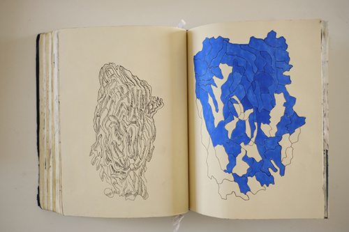 carnets | carnet-2016 | &copy; patrice de Santa Coloma