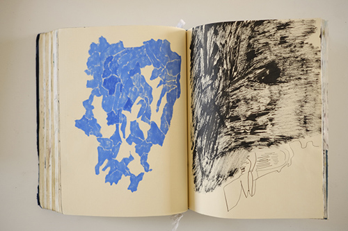 carnets | carnet-2016 | &copy; patrice de Santa Coloma