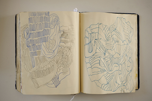 carnets | carnet-2016 | &copy; patrice de Santa Coloma