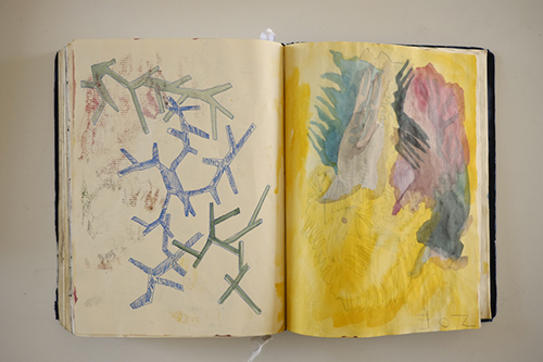 carnets | carnet-2016 | &copy; patrice de Santa Coloma