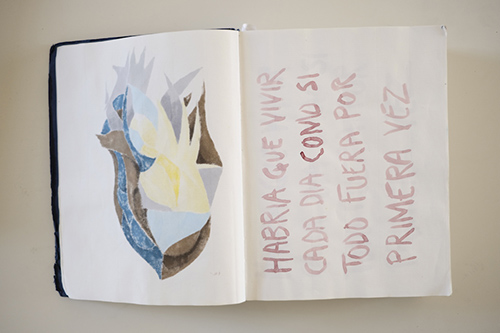 carnets | carnet-2016 | &copy; patrice de Santa Coloma