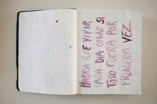 carnets | carnet-2016 | &copy; patrice de Santa Coloma