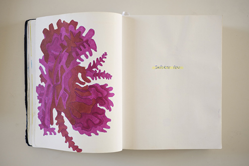 carnets | carnet-2016 | &copy; patrice de Santa Coloma