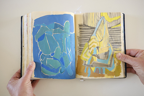 cuadernos | carnet-2017 | &copy; patrice de Santa Coloma