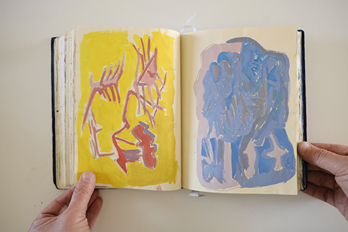 cuadernos | carnet-2017 | &copy; patrice de Santa Coloma