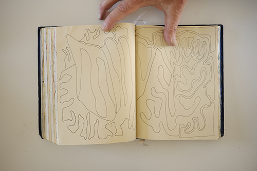 cuadernos | carnet-2017 | &copy; patrice de Santa Coloma
