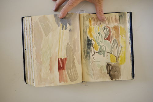 cuadernos | carnet-2017 | &copy; patrice de Santa Coloma