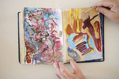 cuadernos | carnet-2017 | &copy; patrice de Santa Coloma
