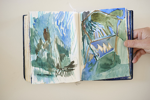 cuadernos | carnet-2017 | &copy; patrice de Santa Coloma
